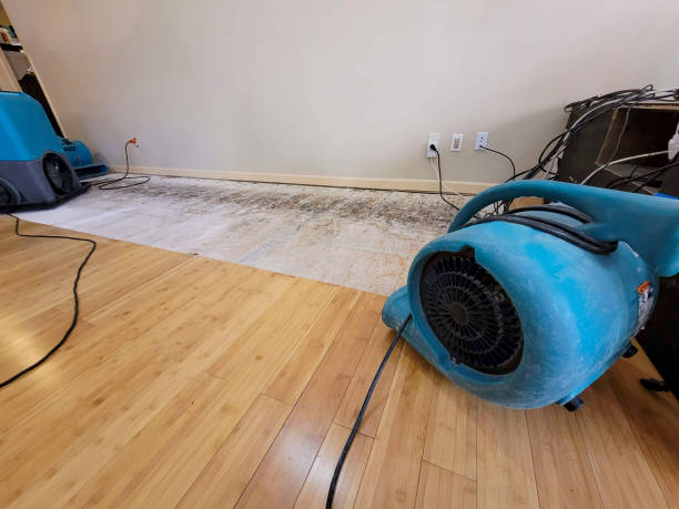 Professional Water Extraction technician working in Englewood, CO
